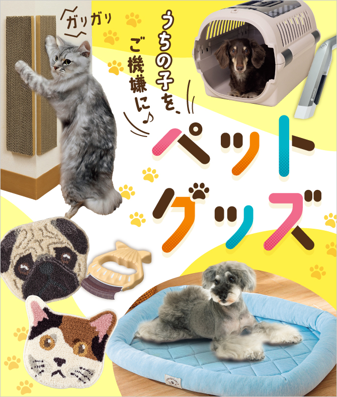 ���W �y�b�g�O�b�Y