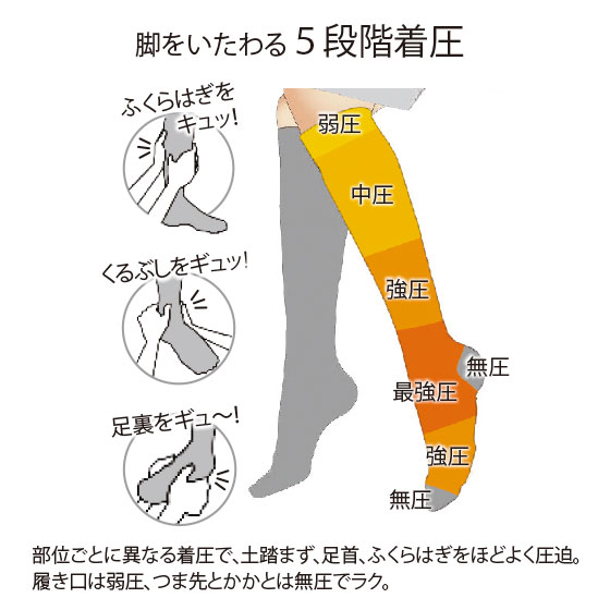 ドイツ・Ｏｆａ社加圧靴下 ギロファ・スタンダードソックス（１足 ...