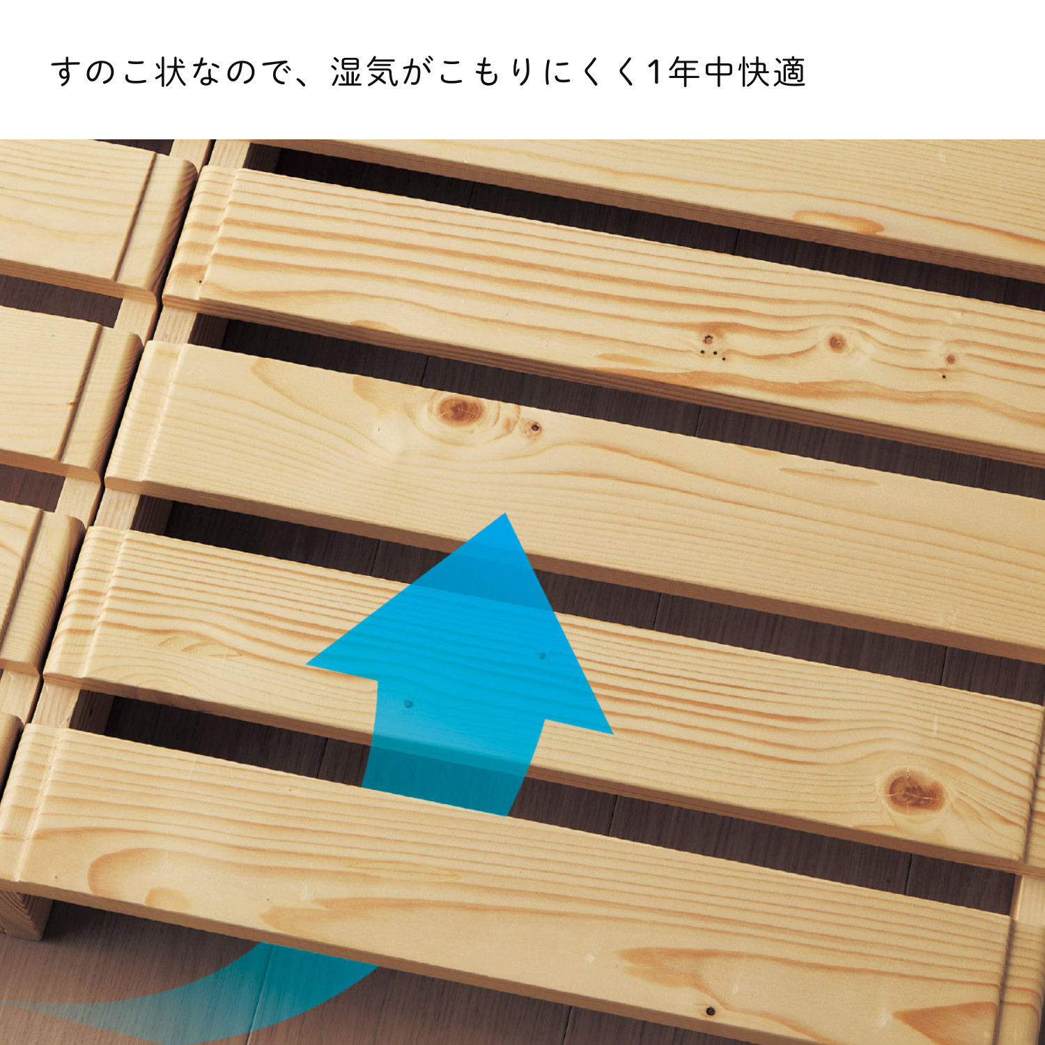 ȒPɑgݑւłpbgxbhCɂ