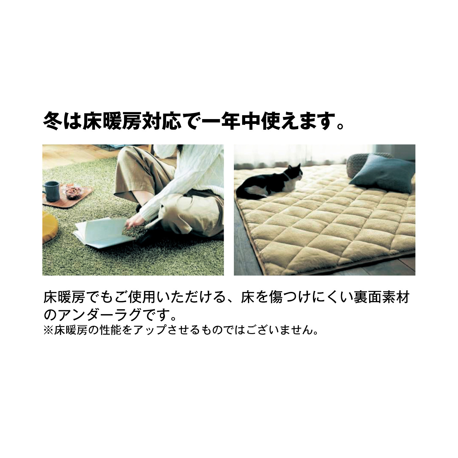 �{�����[���^�C�v�@���O�̉��ɕ~���A���_�[���O���g�[