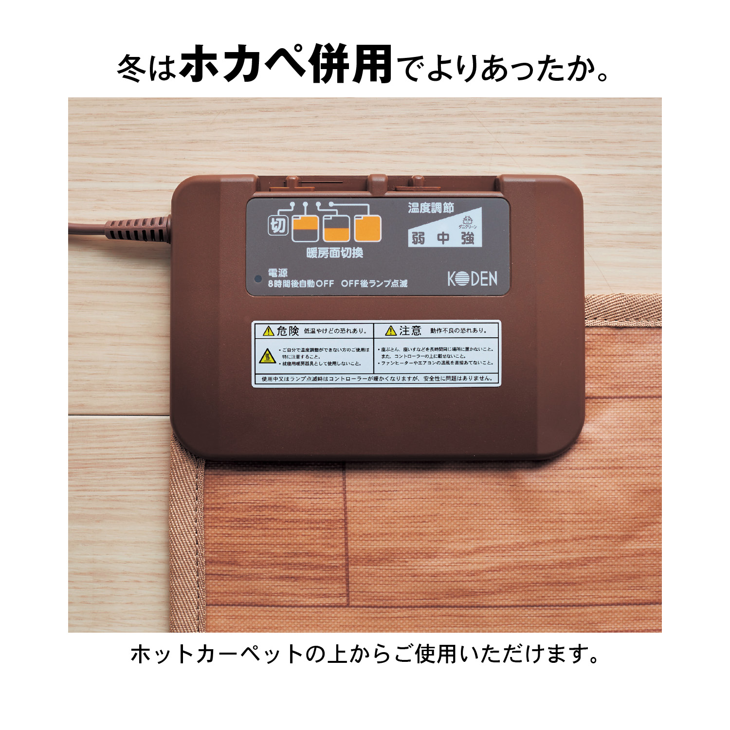 �{�����[���^�C�v�@���O�̉��ɕ~���A���_�[���O�z�b�g�J�[�y�b�g