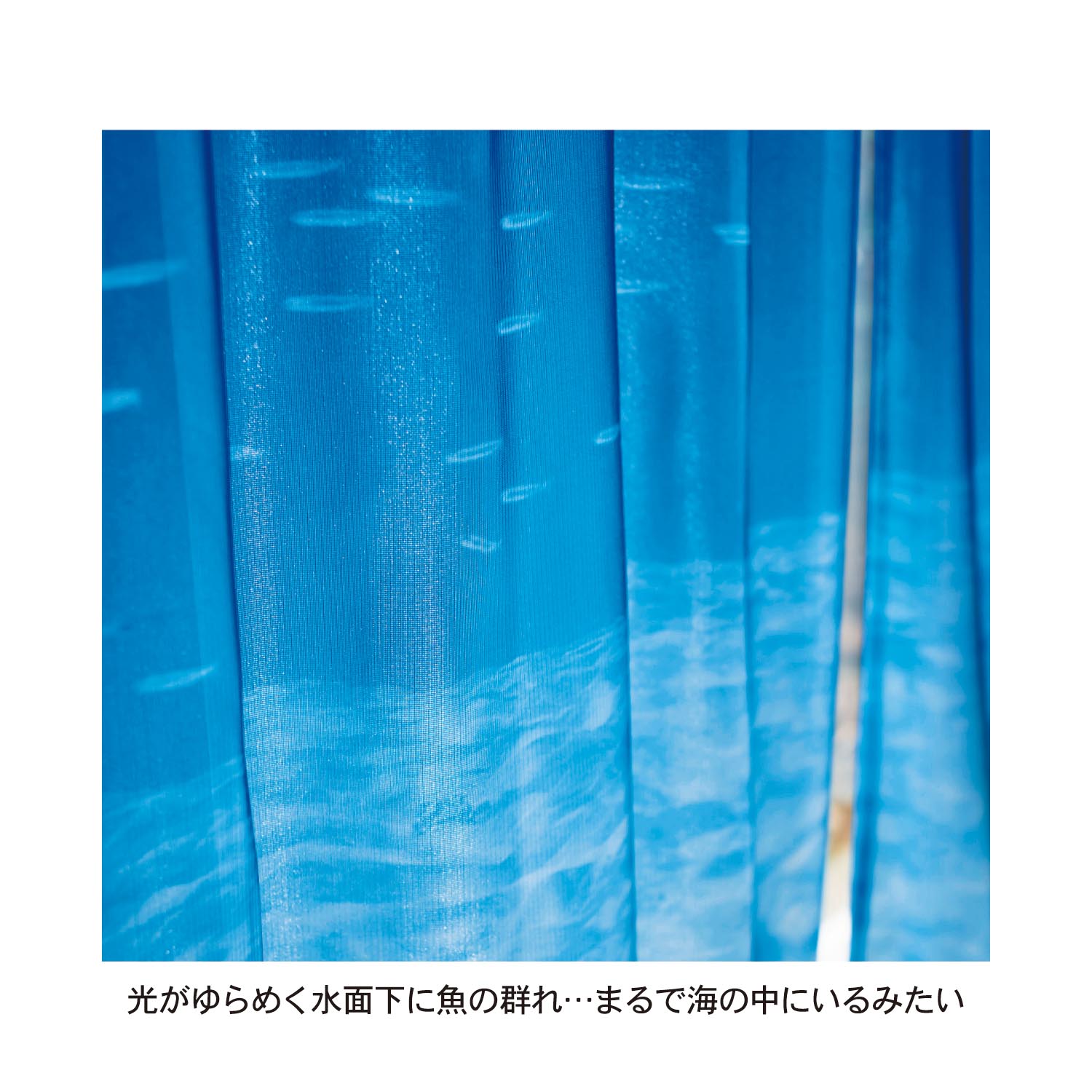 海の中を映したUVカット・レースカーテン(2枚組)海の中イメージ