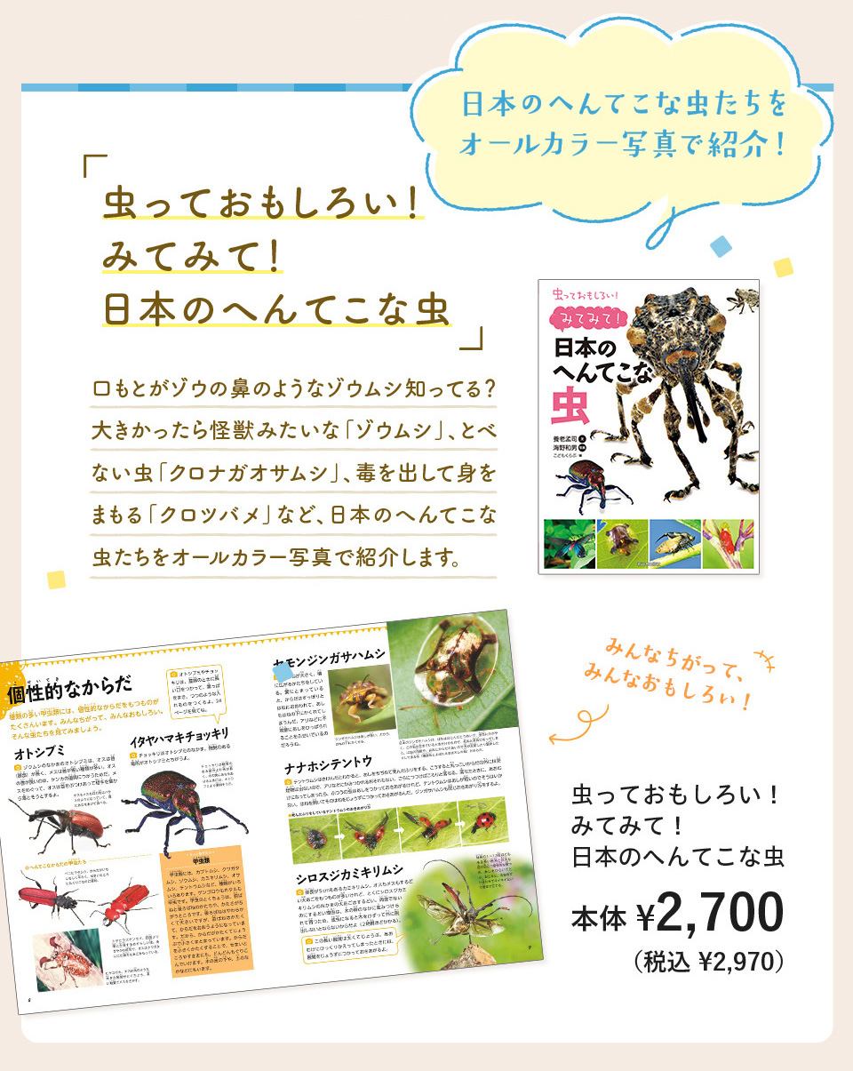  Ă낢I݂Ă݂āI{̂ւĂȒ