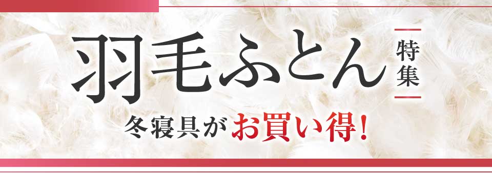 ���W �H�тӂƂ���W